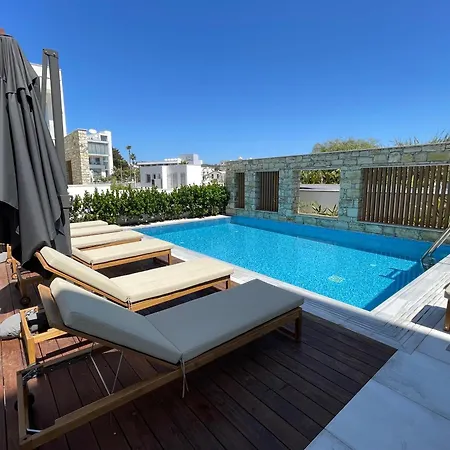 Napa Seaview - 2 Vilă Ayia Napa